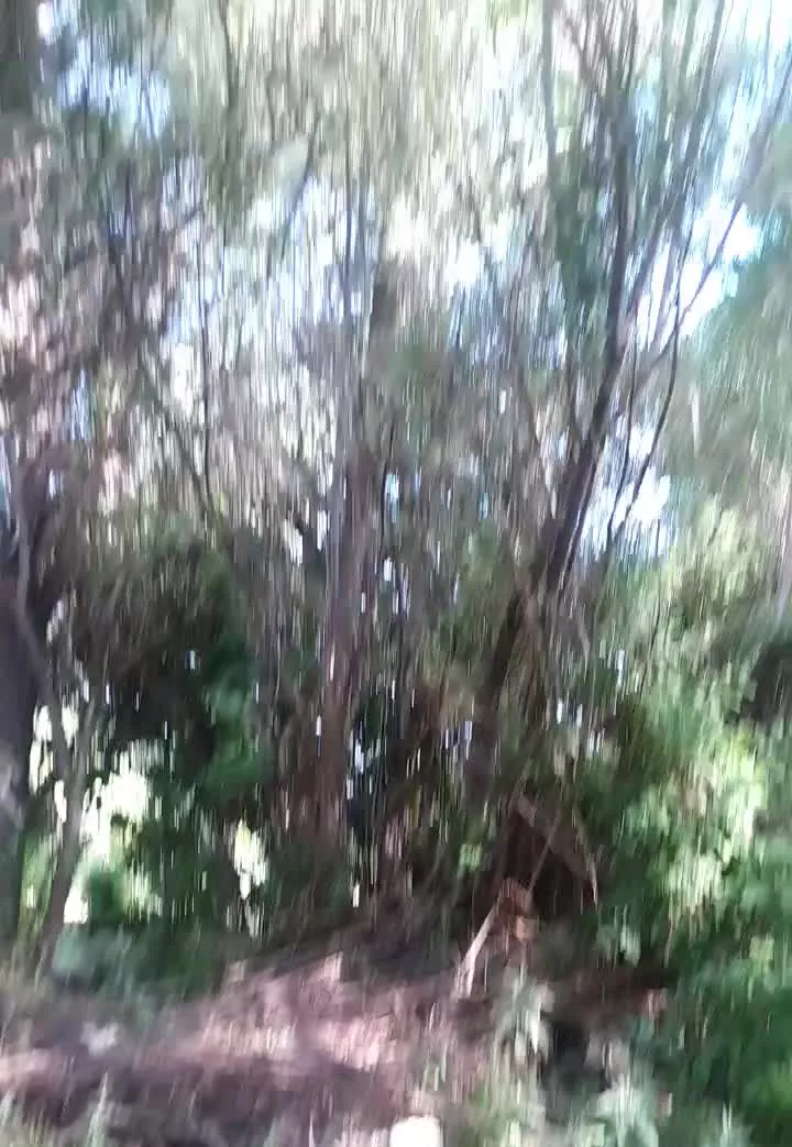 اجاره ویلا باغ سپیدان لب رودخانه سربست