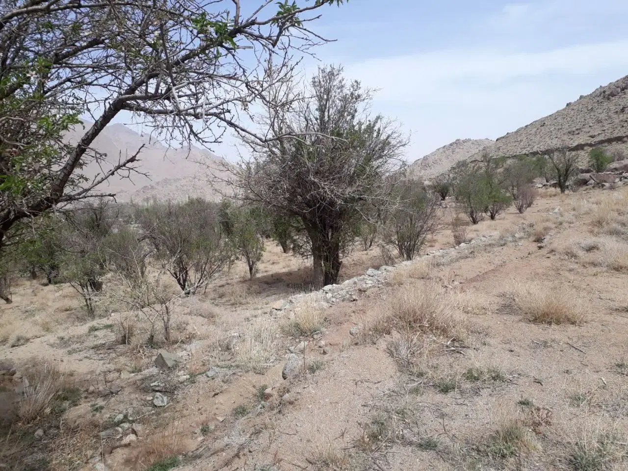 زمین ۷۲۰ متری طزرجان