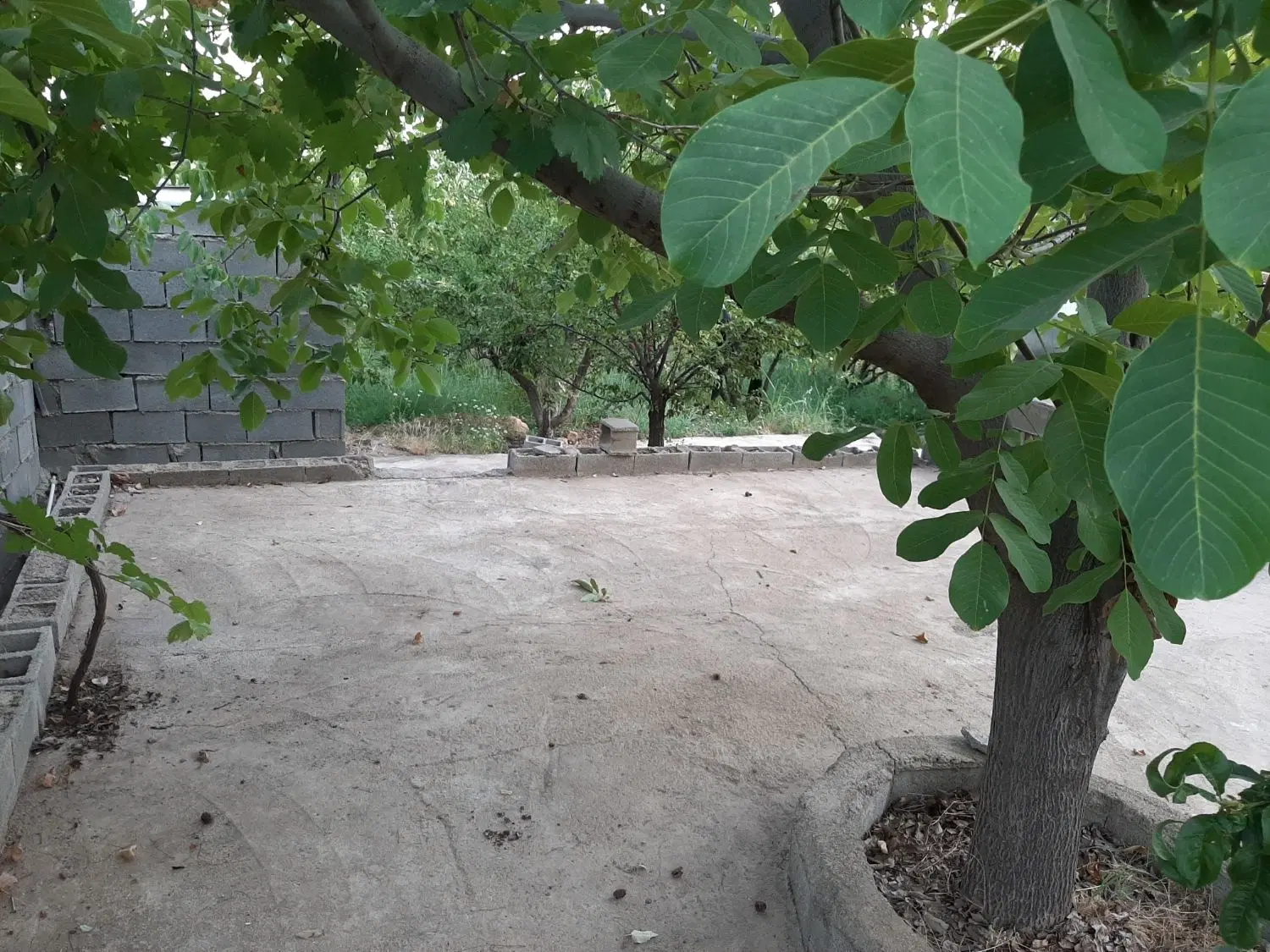 باغ ثمری روستای ده بر آفتاب یاسوج