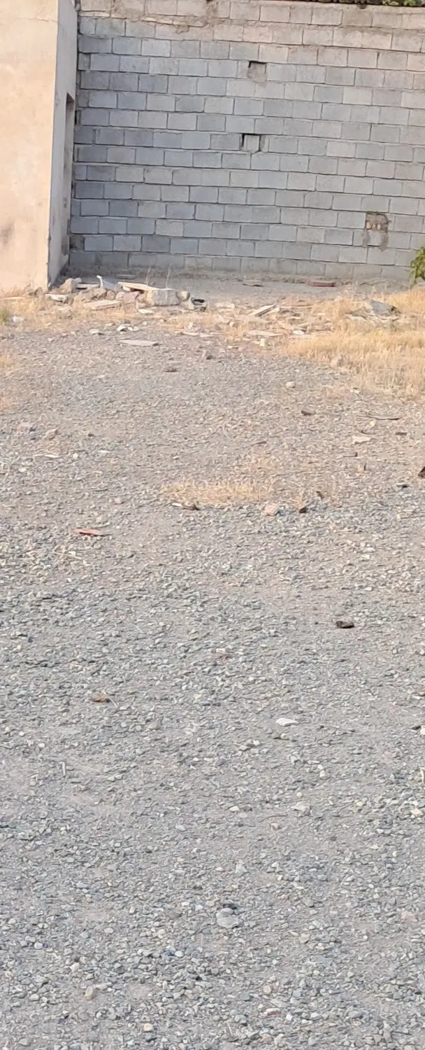 زمین تجاری