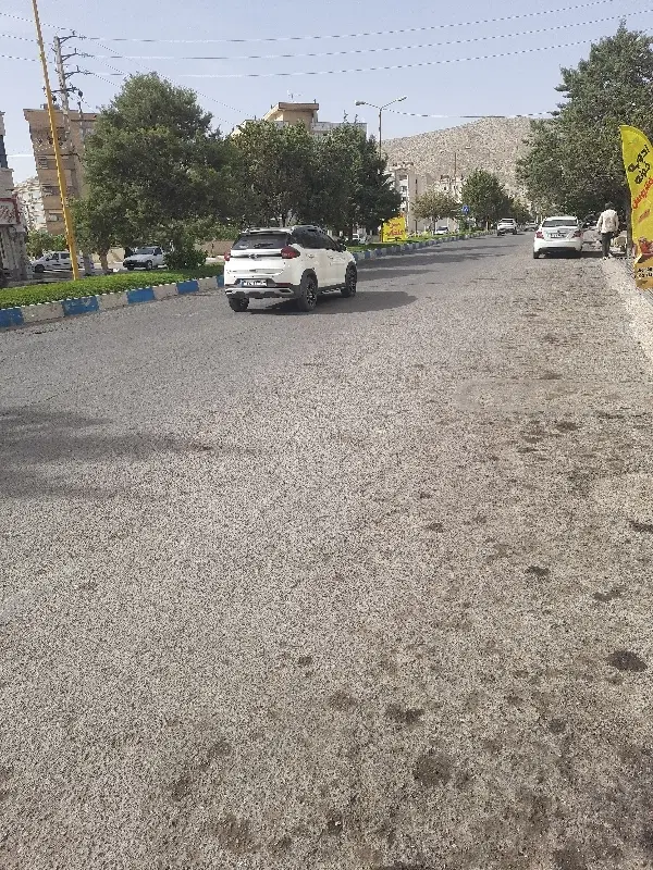 زمین صدرا سند تک برگ