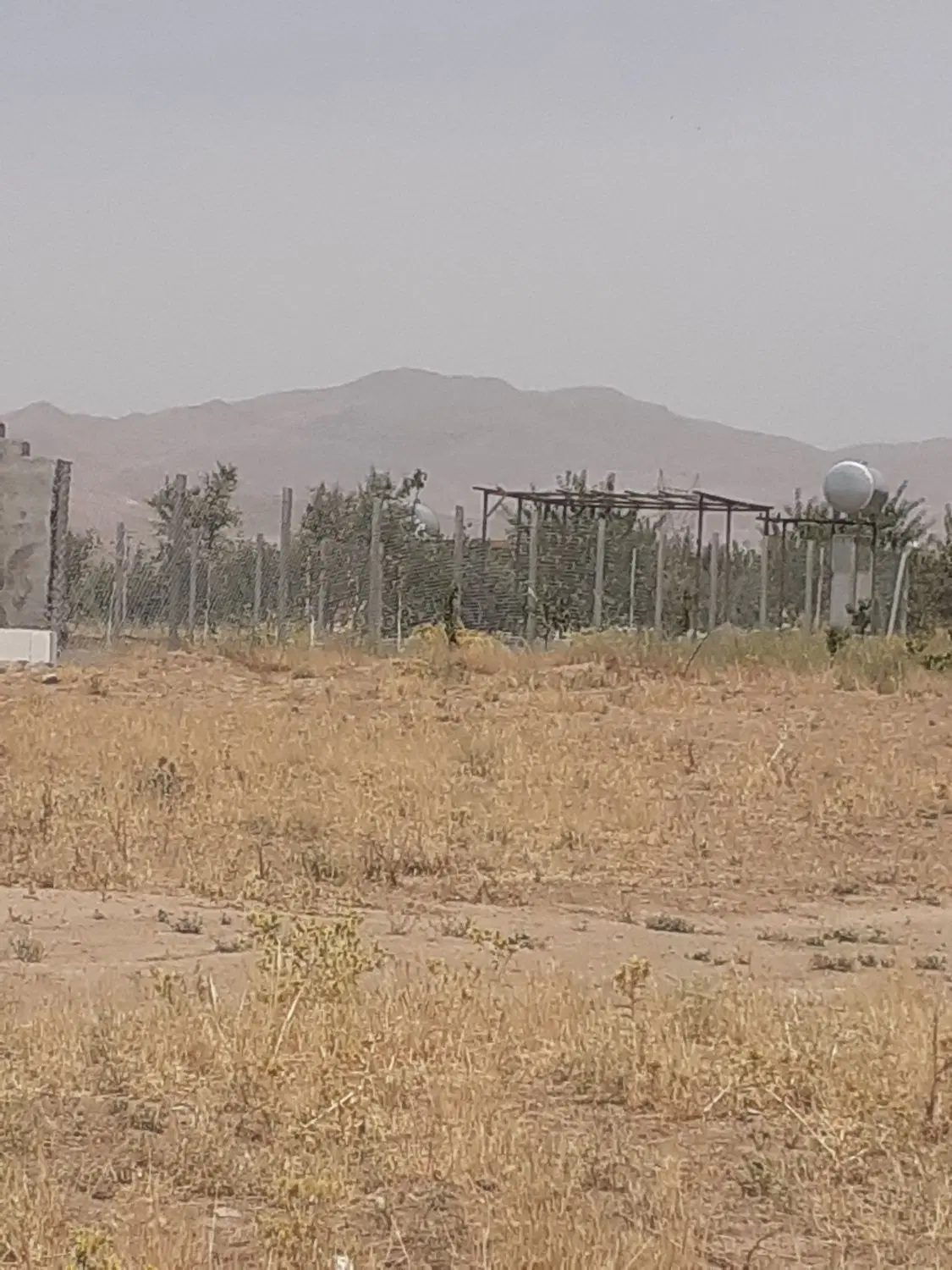 فروش باغ