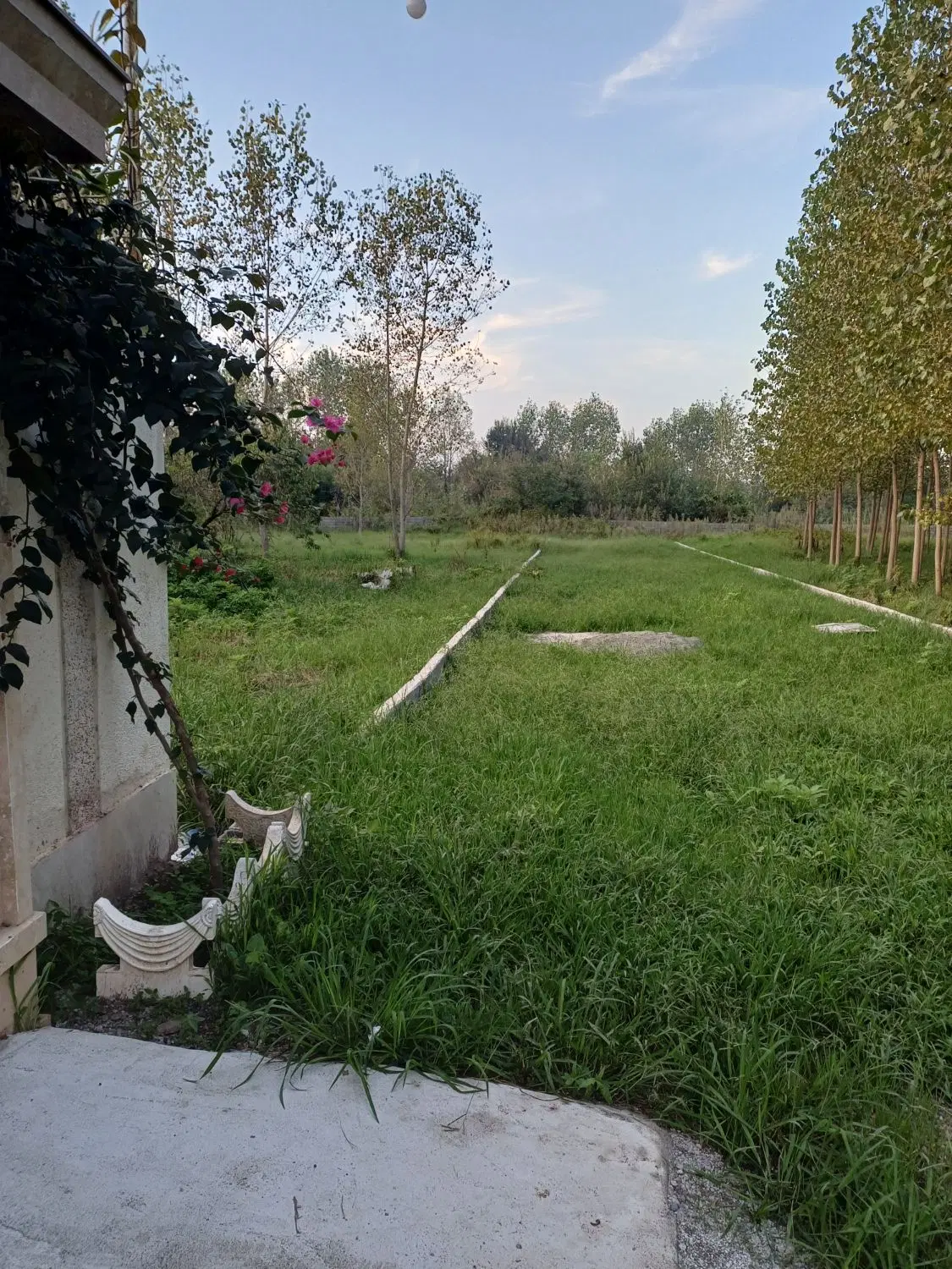فروش زمین باغی
