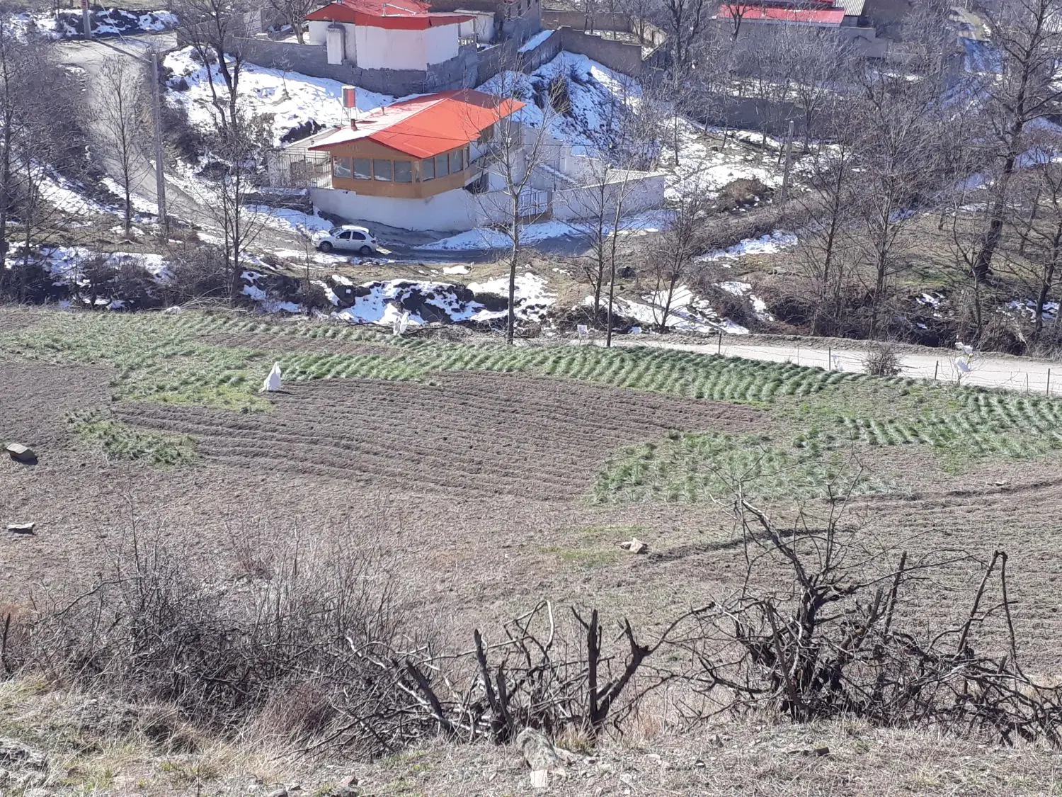 زمین فروشی