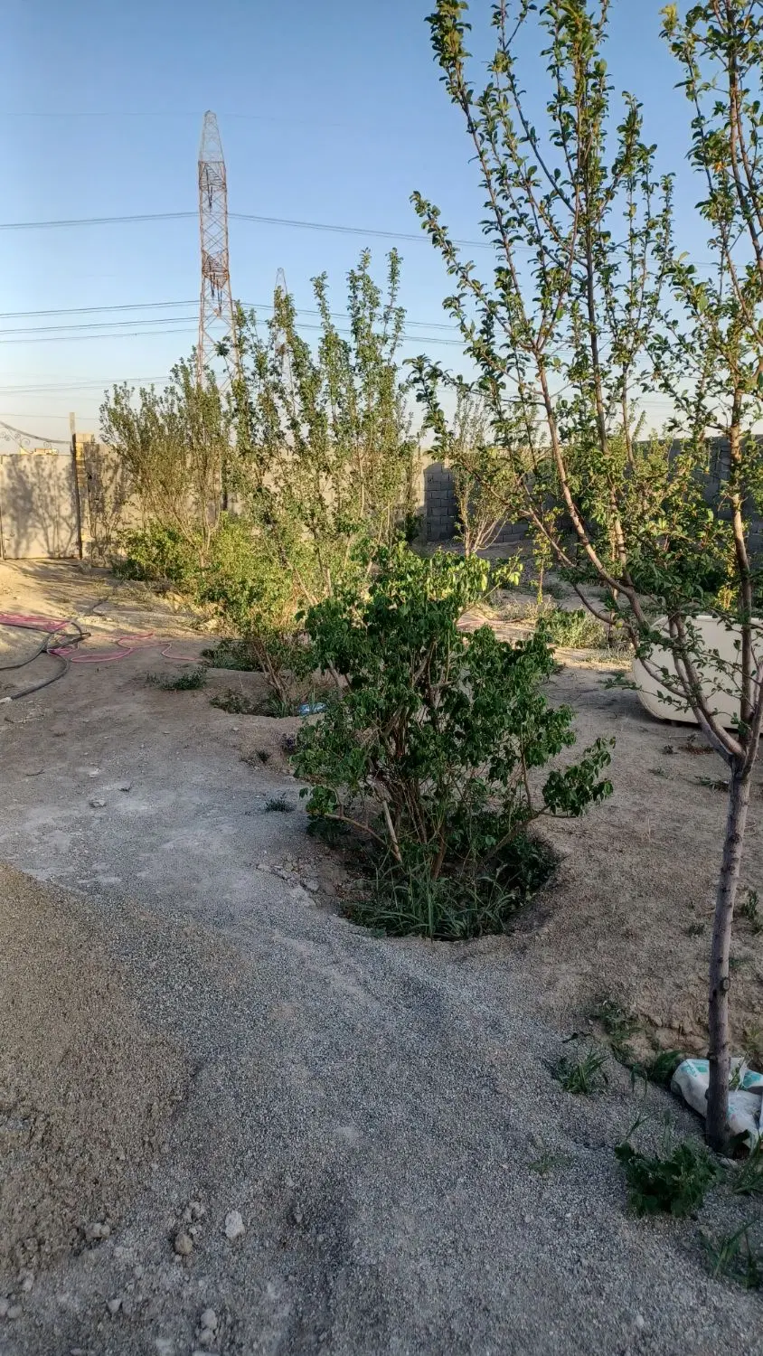 باغچه چهاردیواری