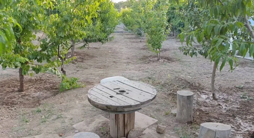 زمین باغی