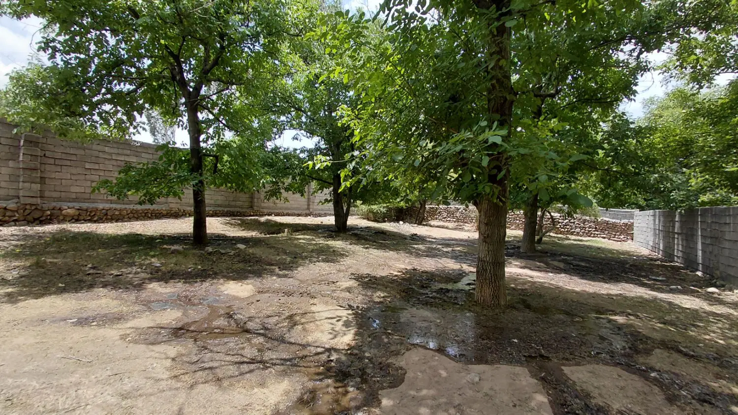 ۱۸قصب‌زمین‌مسکونی‌لاله‌زار