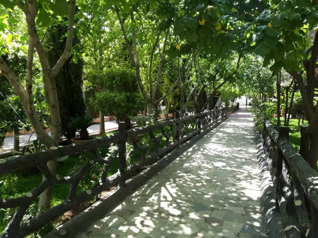 باغچه2590 متری قصردشت مناسب درآمد و کاسبی خاص