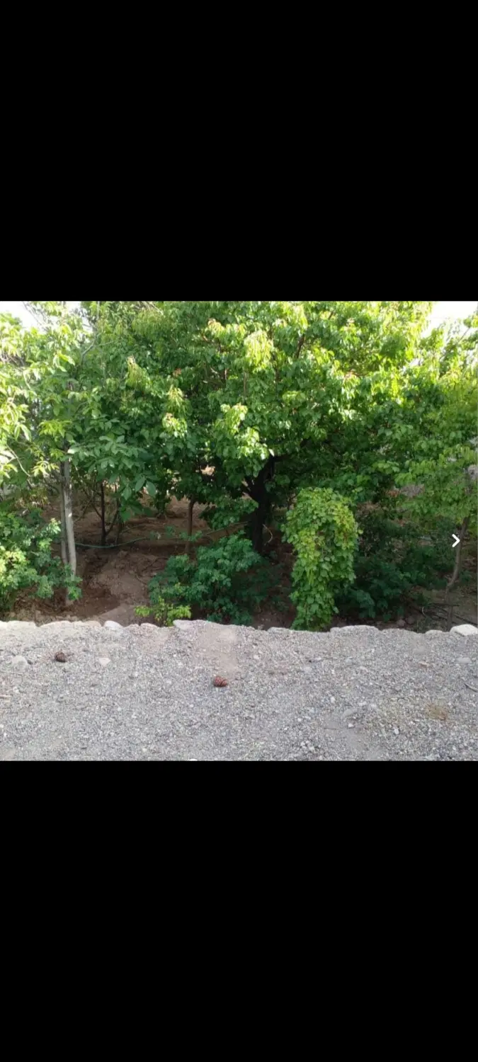 اجاره  ماهیانه خانه و باغ در کوهپایه