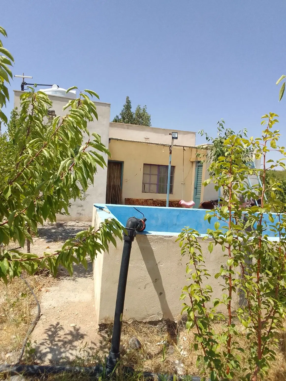 باغ