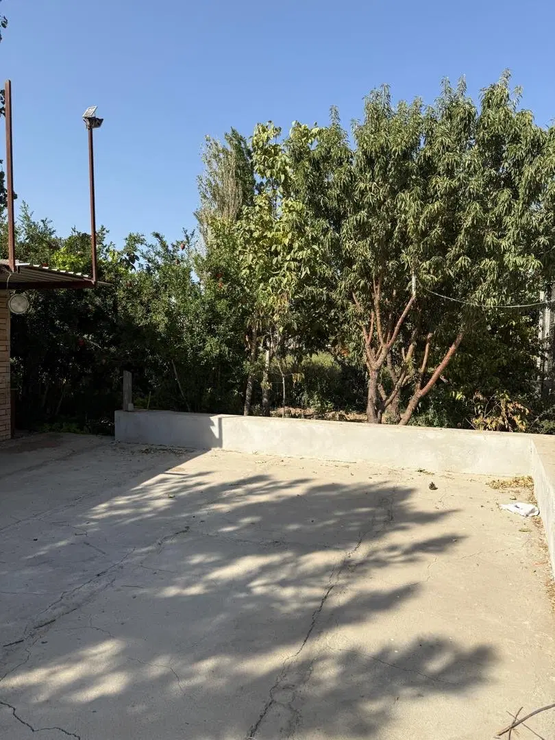 فروش باغ به متراژ ۷۸۰متربا انواع مختلف درخت میوه ا