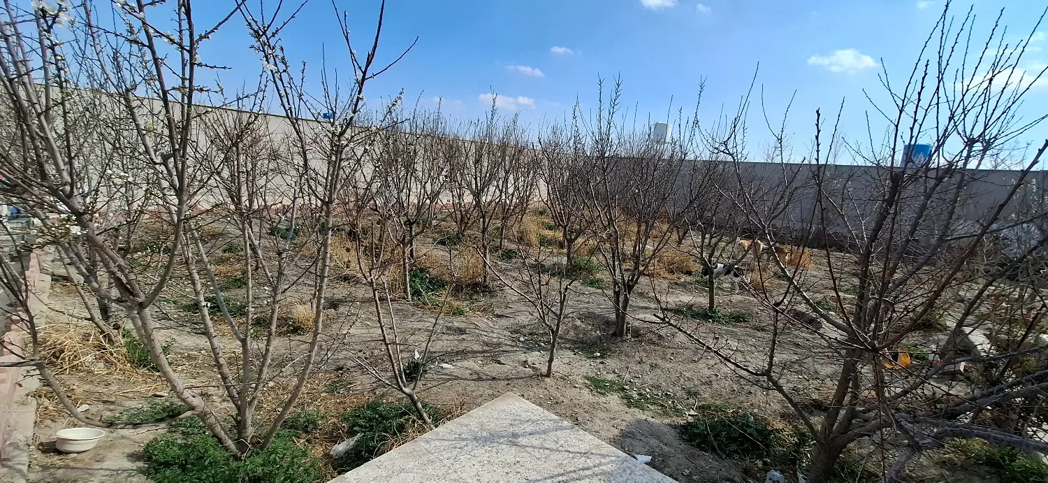یه قطعه باغچه چهار دیواری