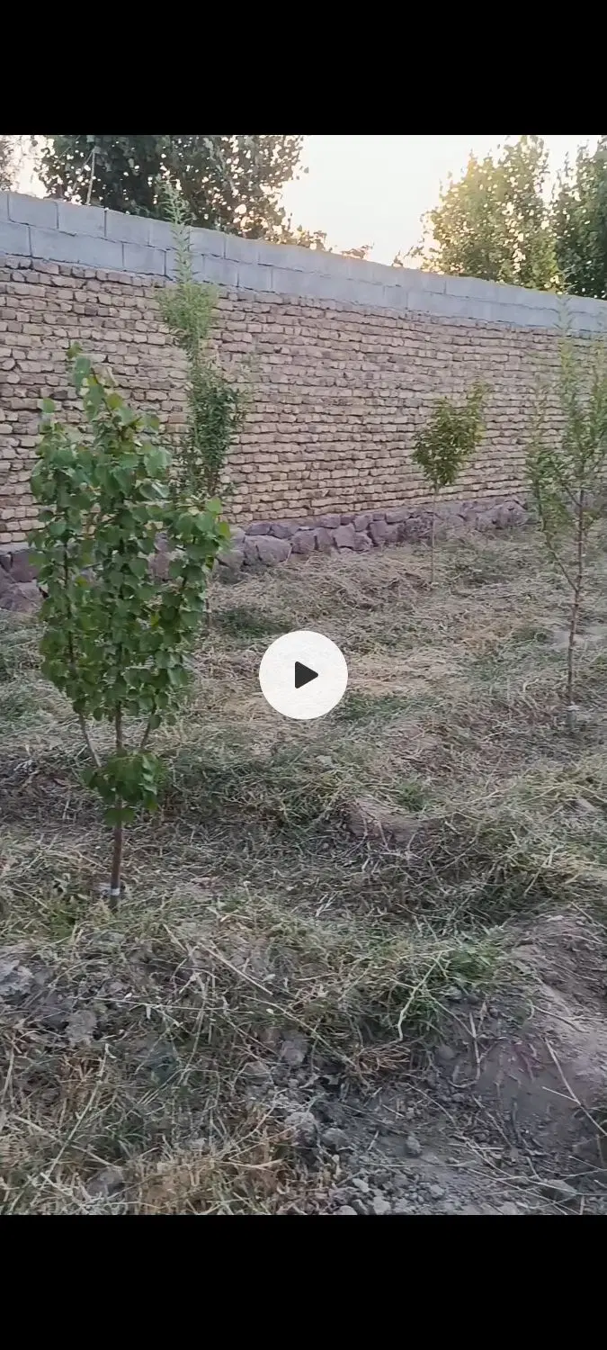 باغ دور دیوار شاهنامه