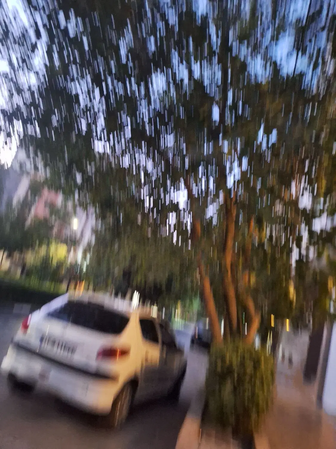 فروش ملک جنوبی همکف حیاط دار
