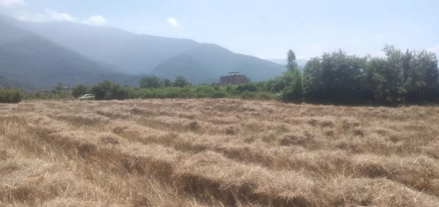 زمین داخل محله روستایی