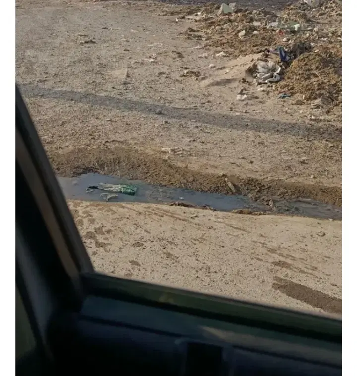 زمین مسکونی فروشی طاغذی