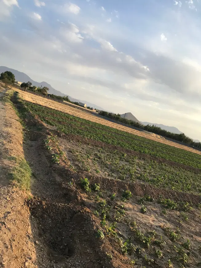 ۵ هزار متر رشید آباد بر کمربندی