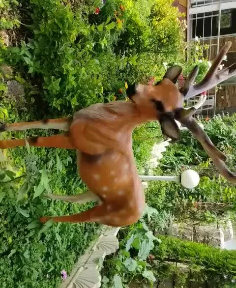 اجاره ویلا دوخوابه