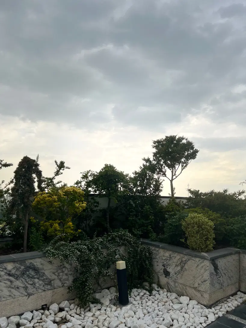 سازه مدرن سبز