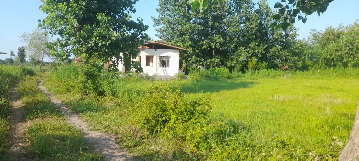 زمین باغی کشاورزی