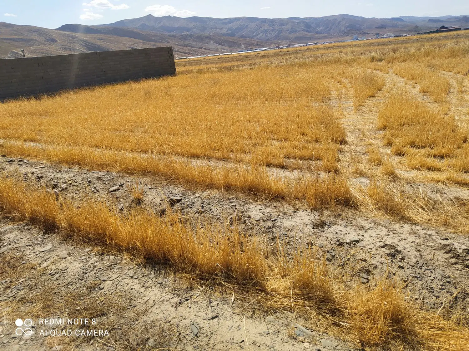زمین فروشی