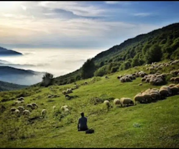 فروش زمین در شمال دیلمان