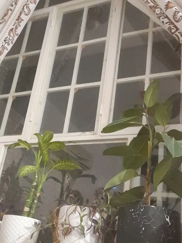 باغچه ۸۰۰متری عباس آباد
