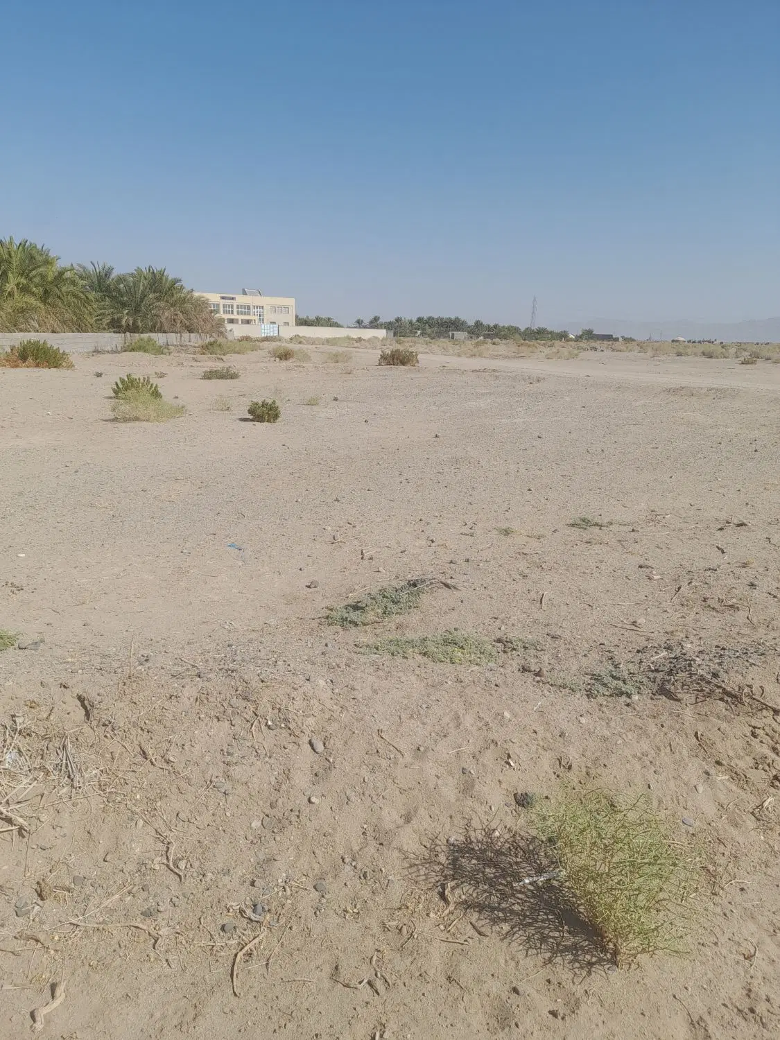زمین سندی