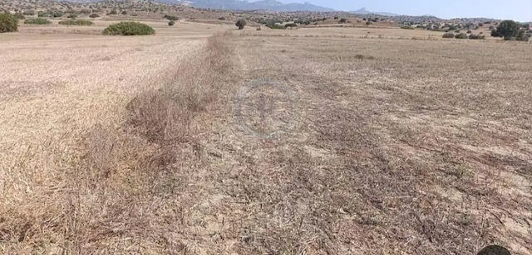 کمربندی جهرم لار