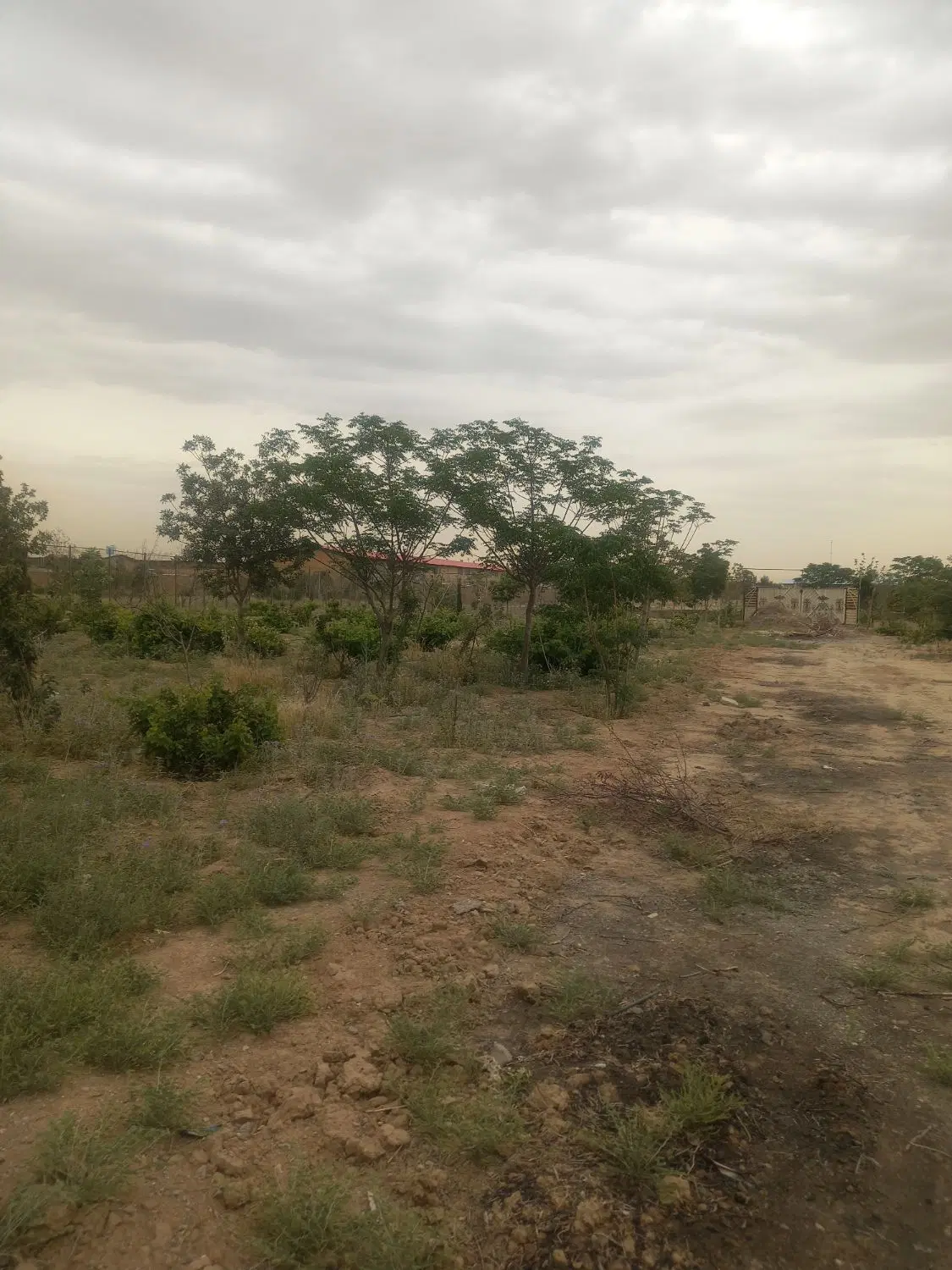 باغچه ۵۴۰ متری کهریزک