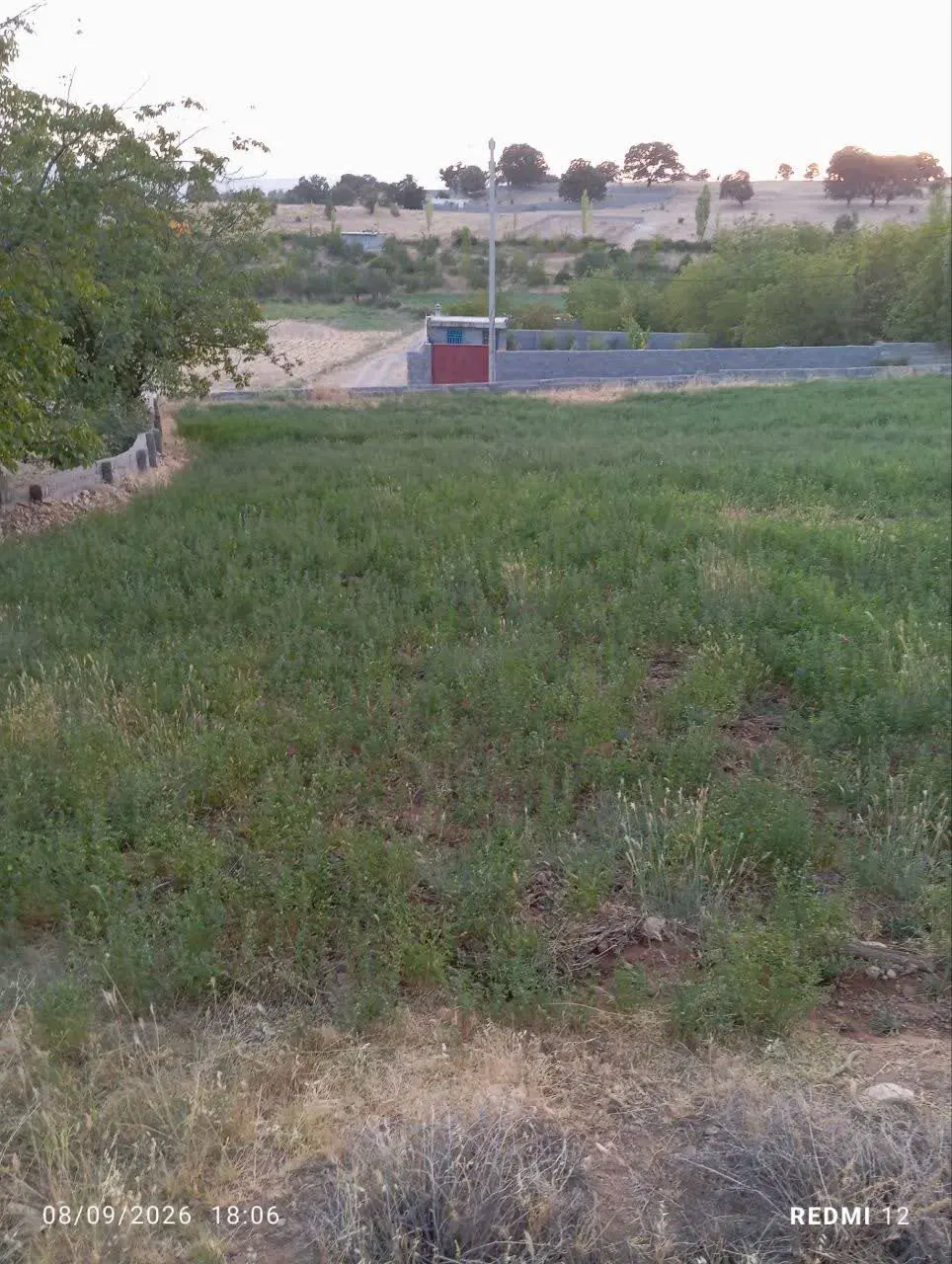 زمین گنجه ای کهنه