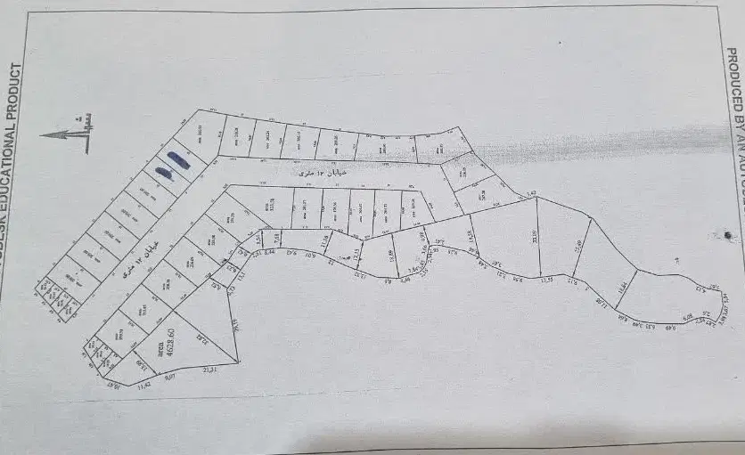 زمین شهیون