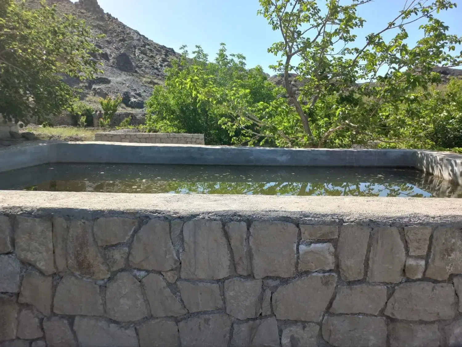 باغ