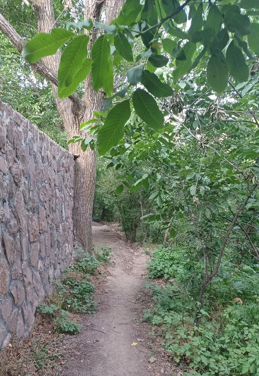 ویلا مسکونی لواسان پایین تر از ایرا روستای جورد