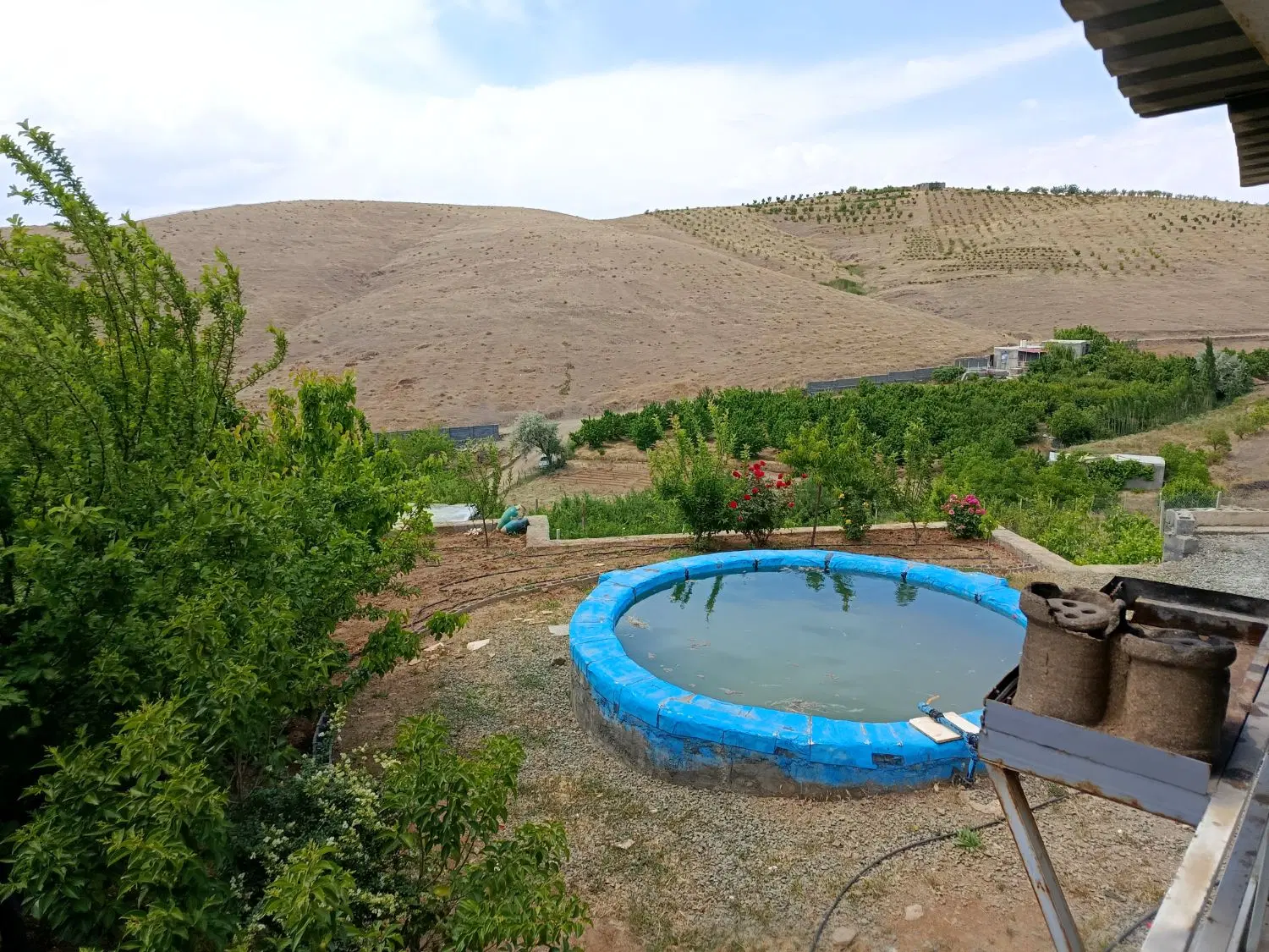 باغ  قلیان