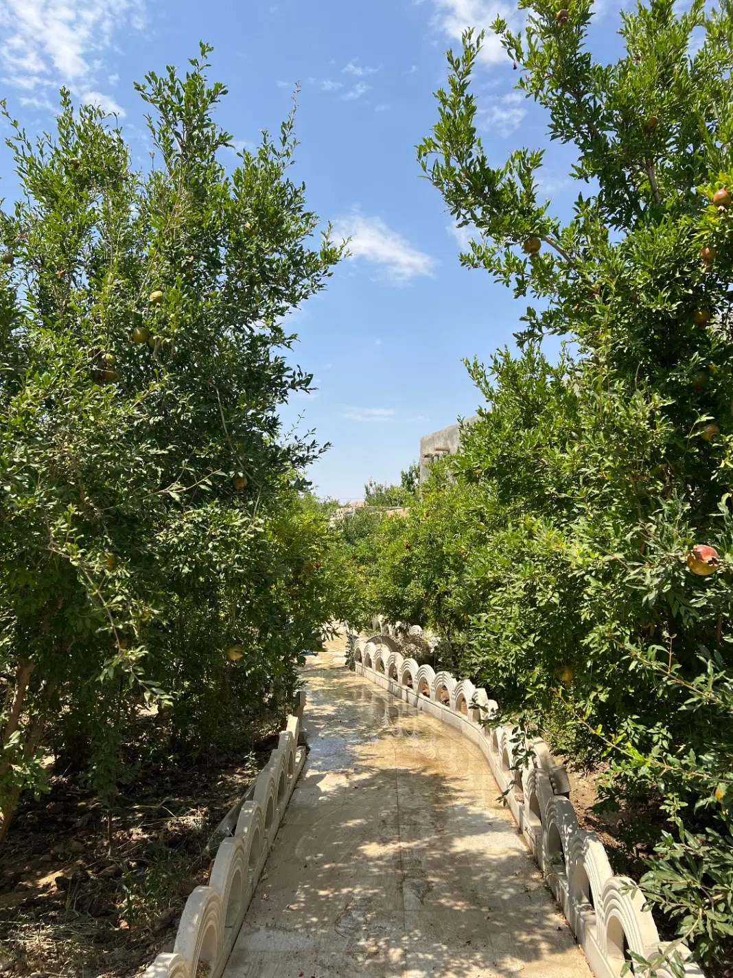 باغ استخردار با درختان مثمر