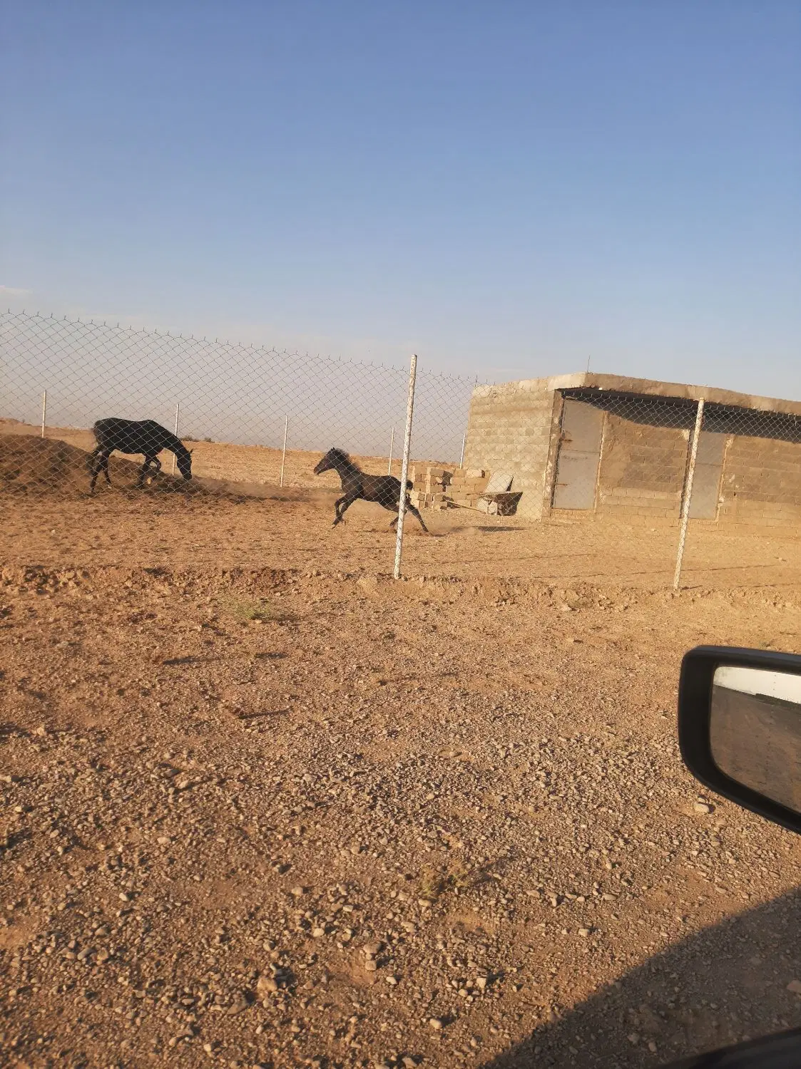 فروش زمین باغی
