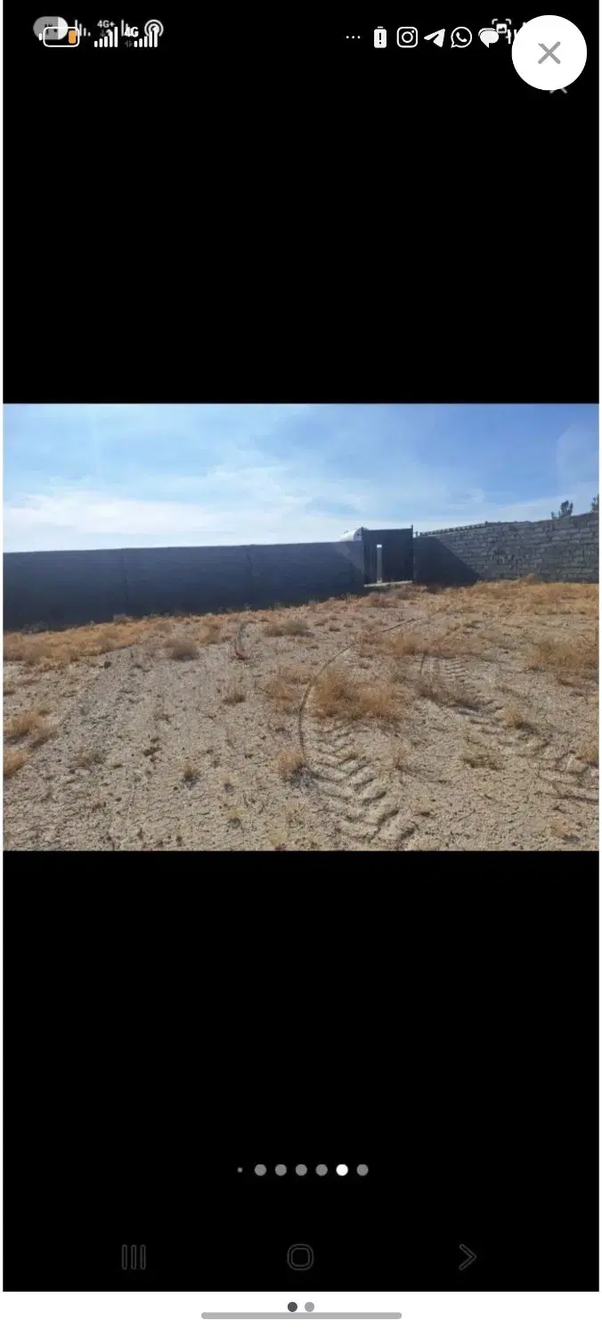 ملک سند دار
