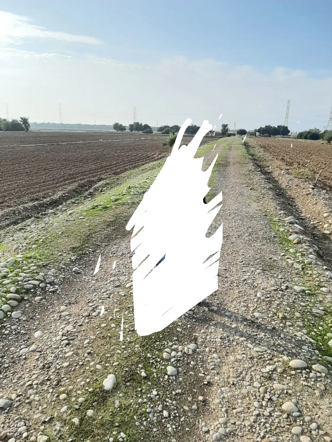 زمین کشاورزی ۱۰۰ هکتار  اجاره شوش