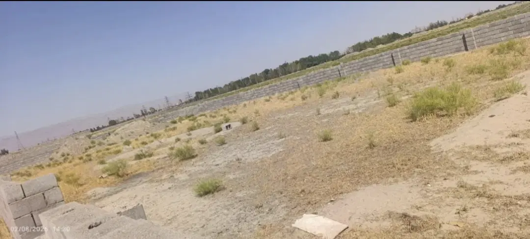 زمین در حیطه طلای چناران