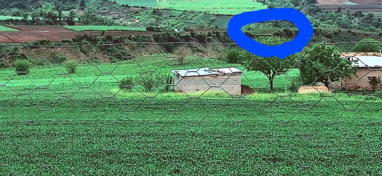 باغ