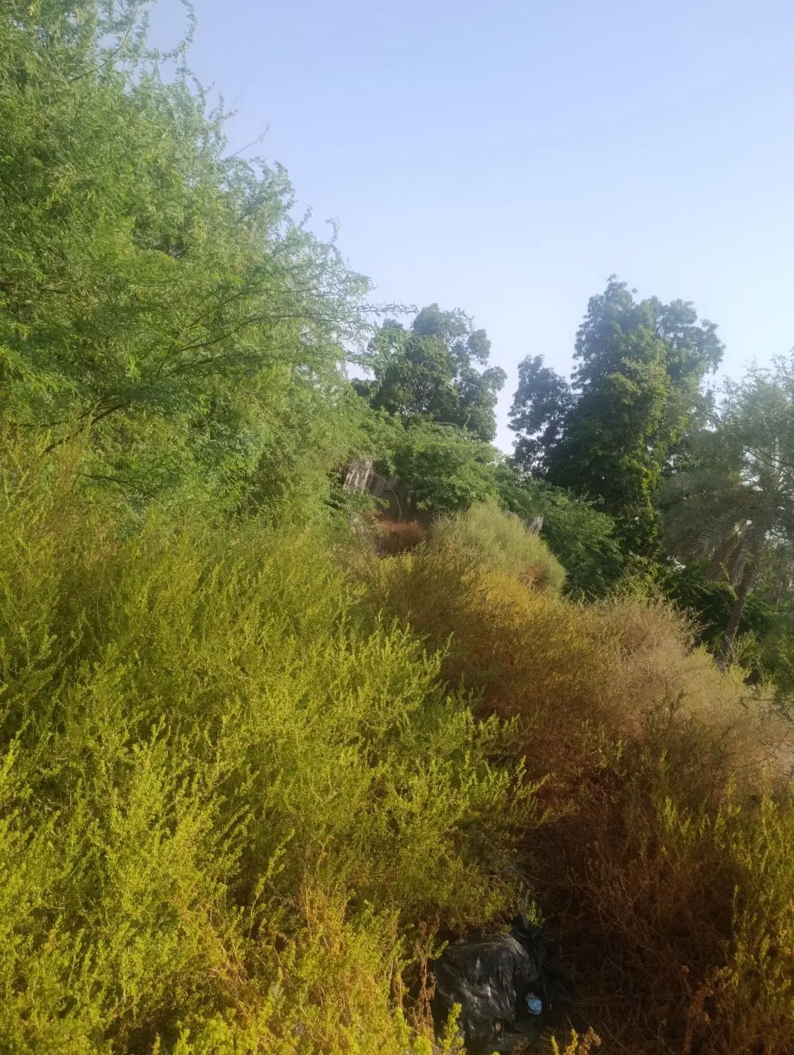زمین مسکونی به متراژ ۷۰۰متر