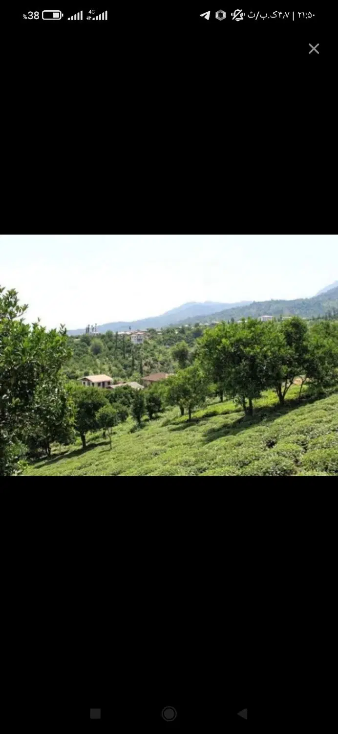 زمین مسکونی در استان گیلان