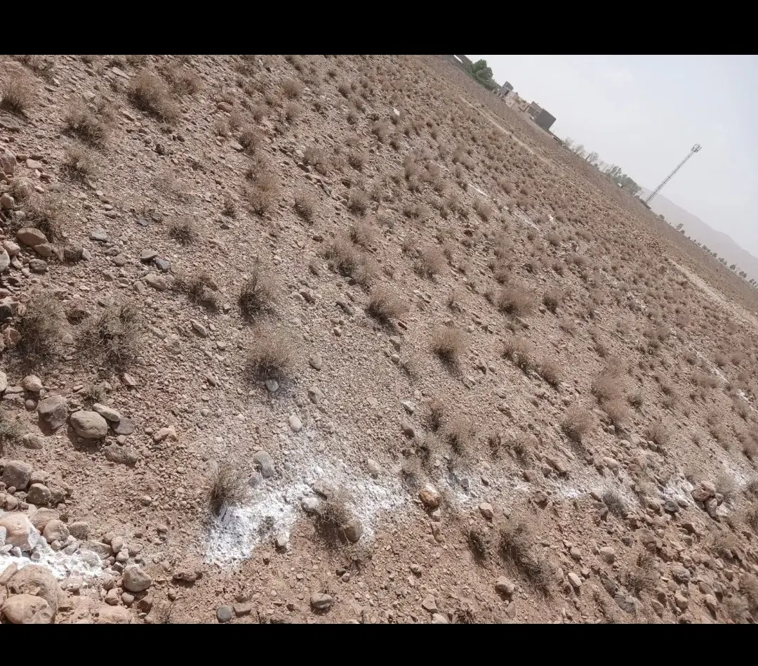 زمین فروشی در ماهان