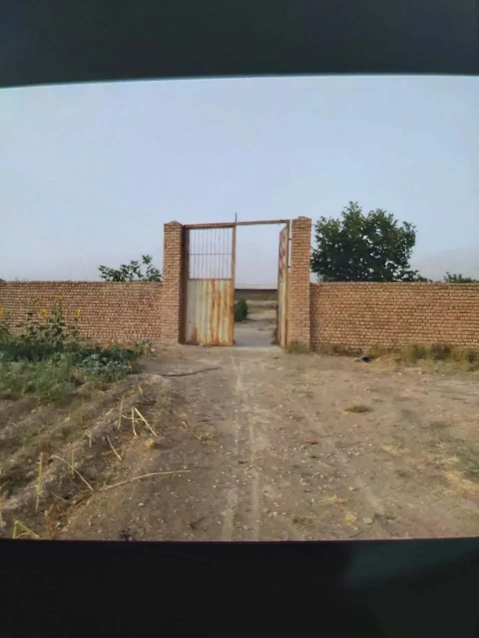 گاوداری  صنعتی