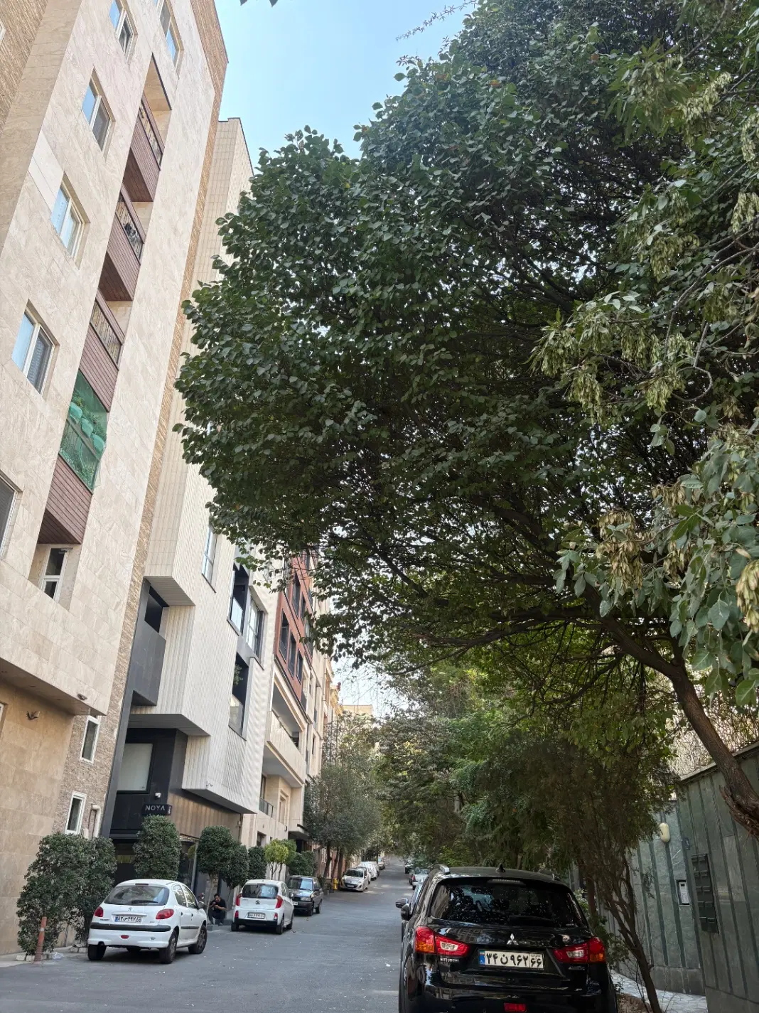 ۹۰متر ۲خواب پارک قیطریه