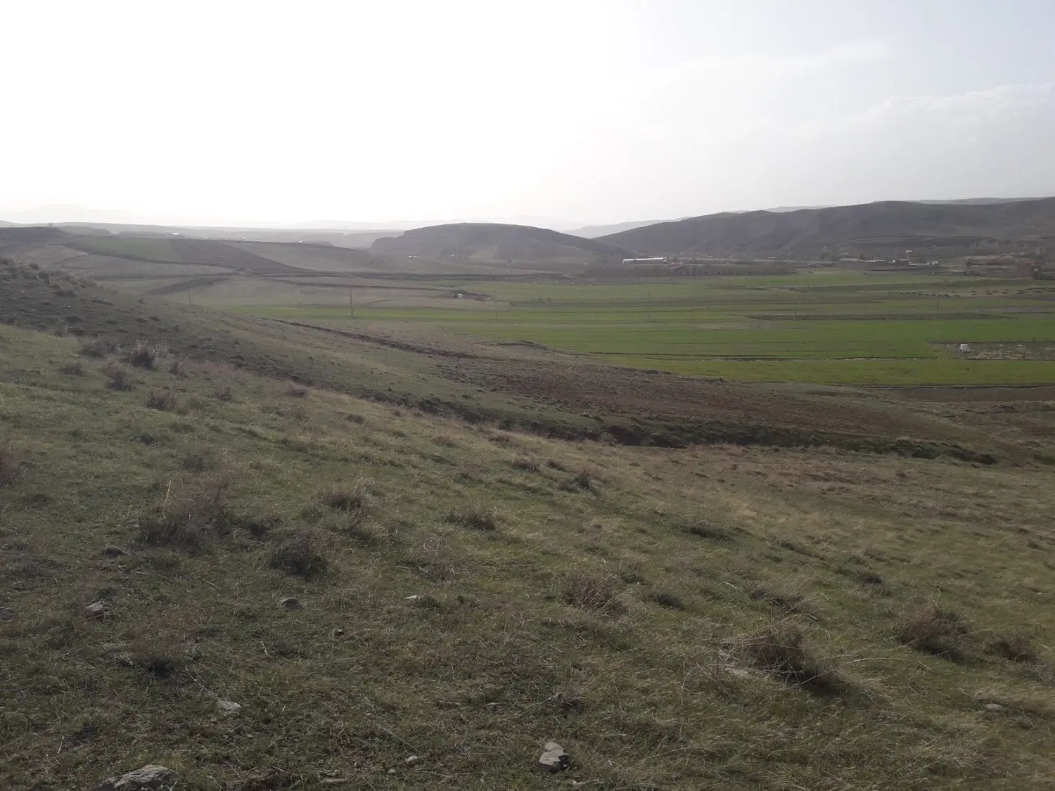 زمین مرغداری