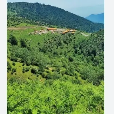 زمین 180متر