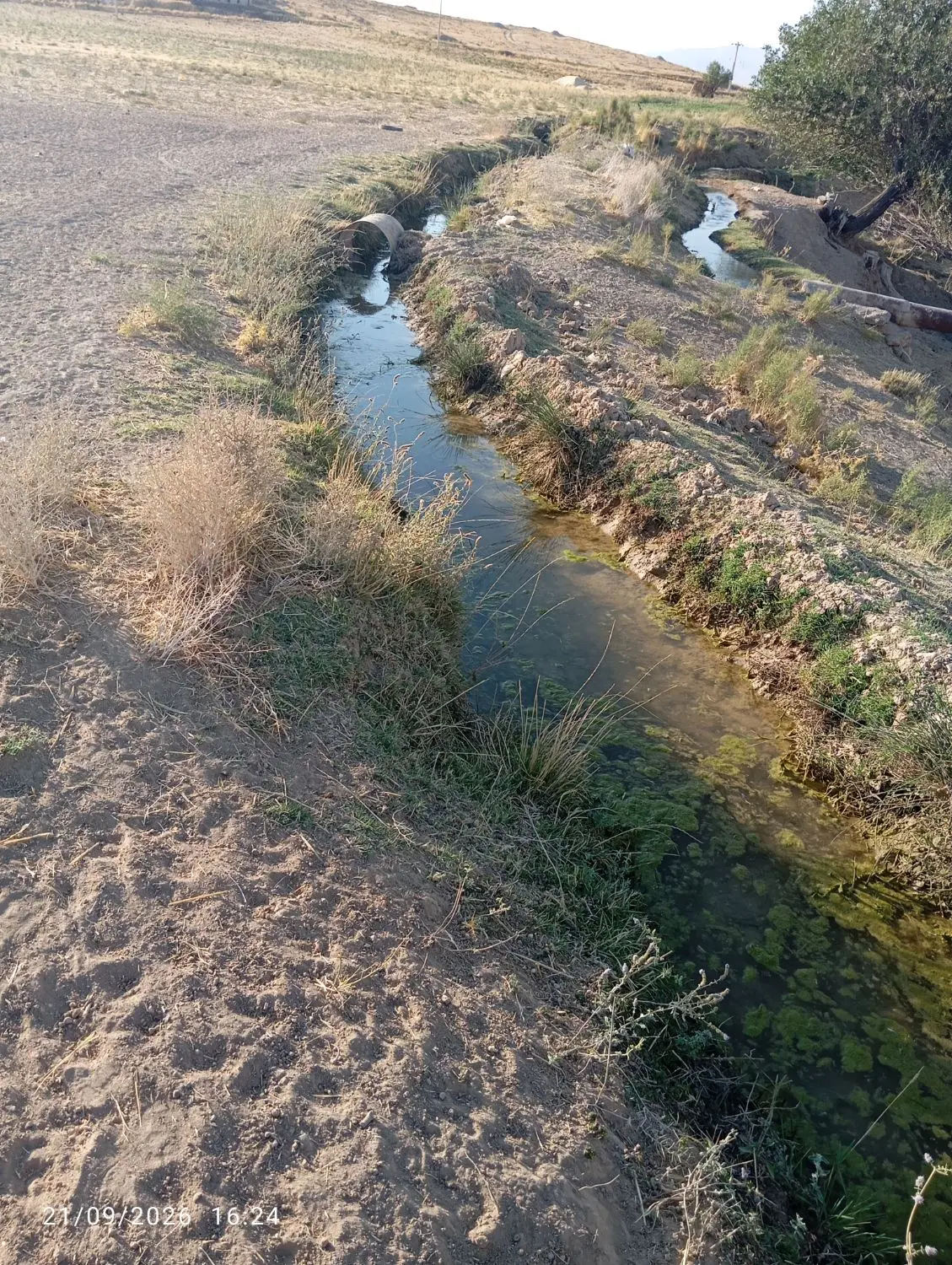 زمین  با آب چشمه