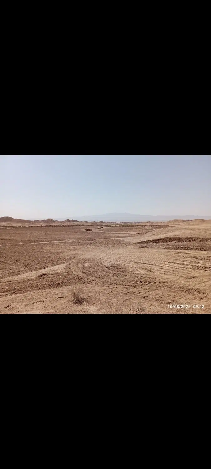 زمین دیم